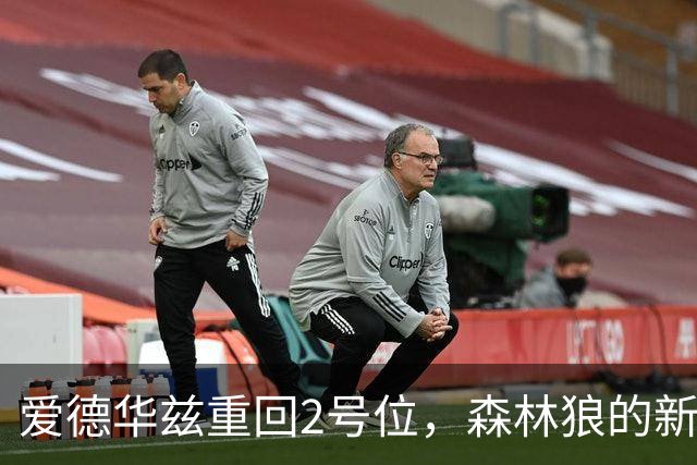 爱德华兹重回2号位，森林狼的新阵容能带来胜利吗？